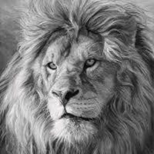 Meet your Posher, Salvador